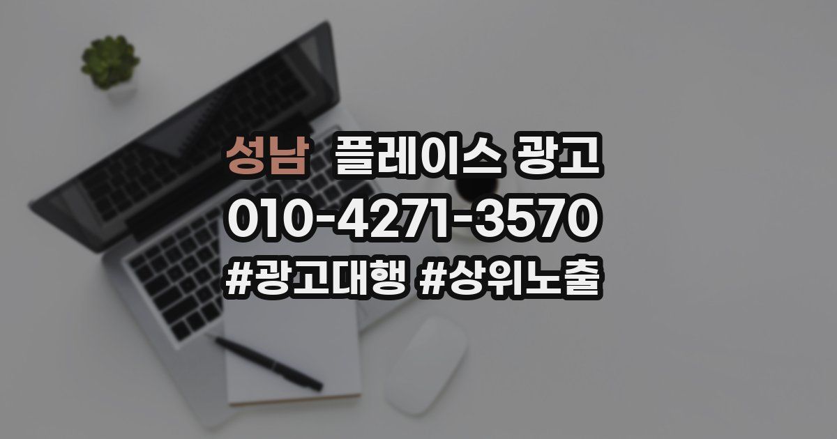 성남 플레이스 광고