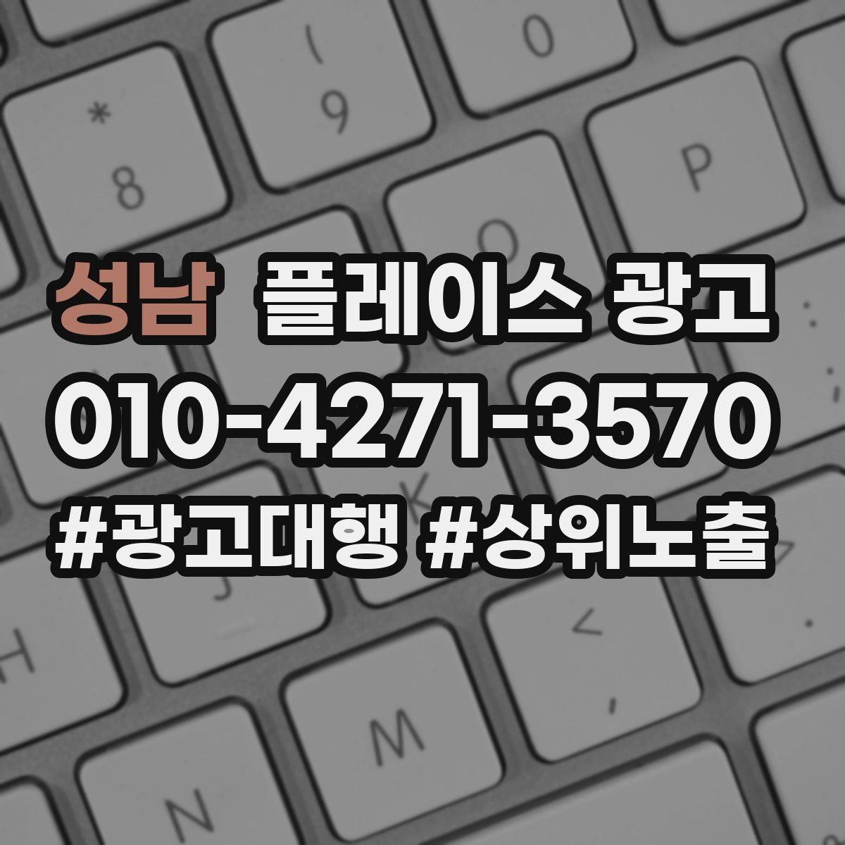 성남 플레이스 광고