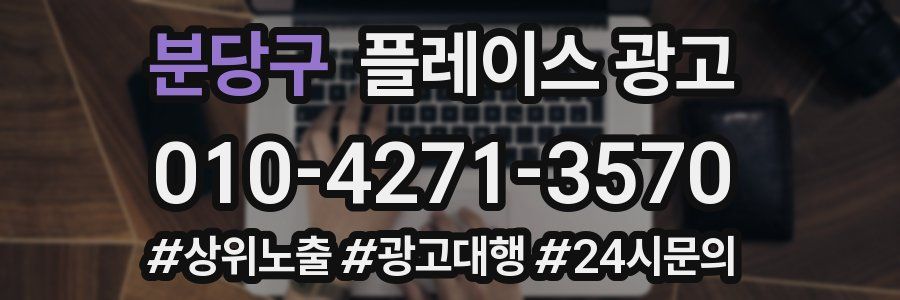 분당구 플레이스 광고