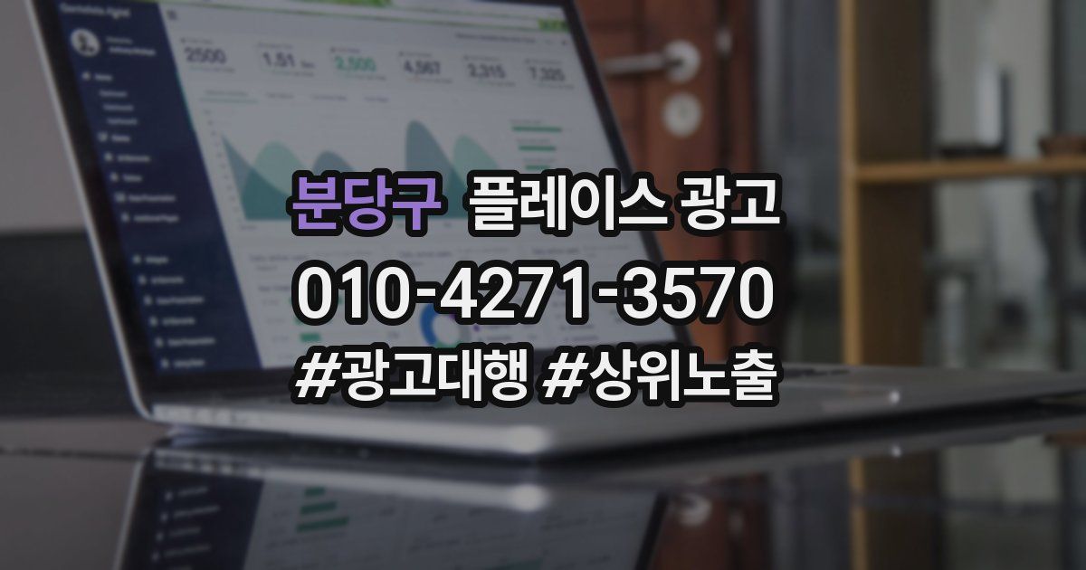 분당구 플레이스 광고