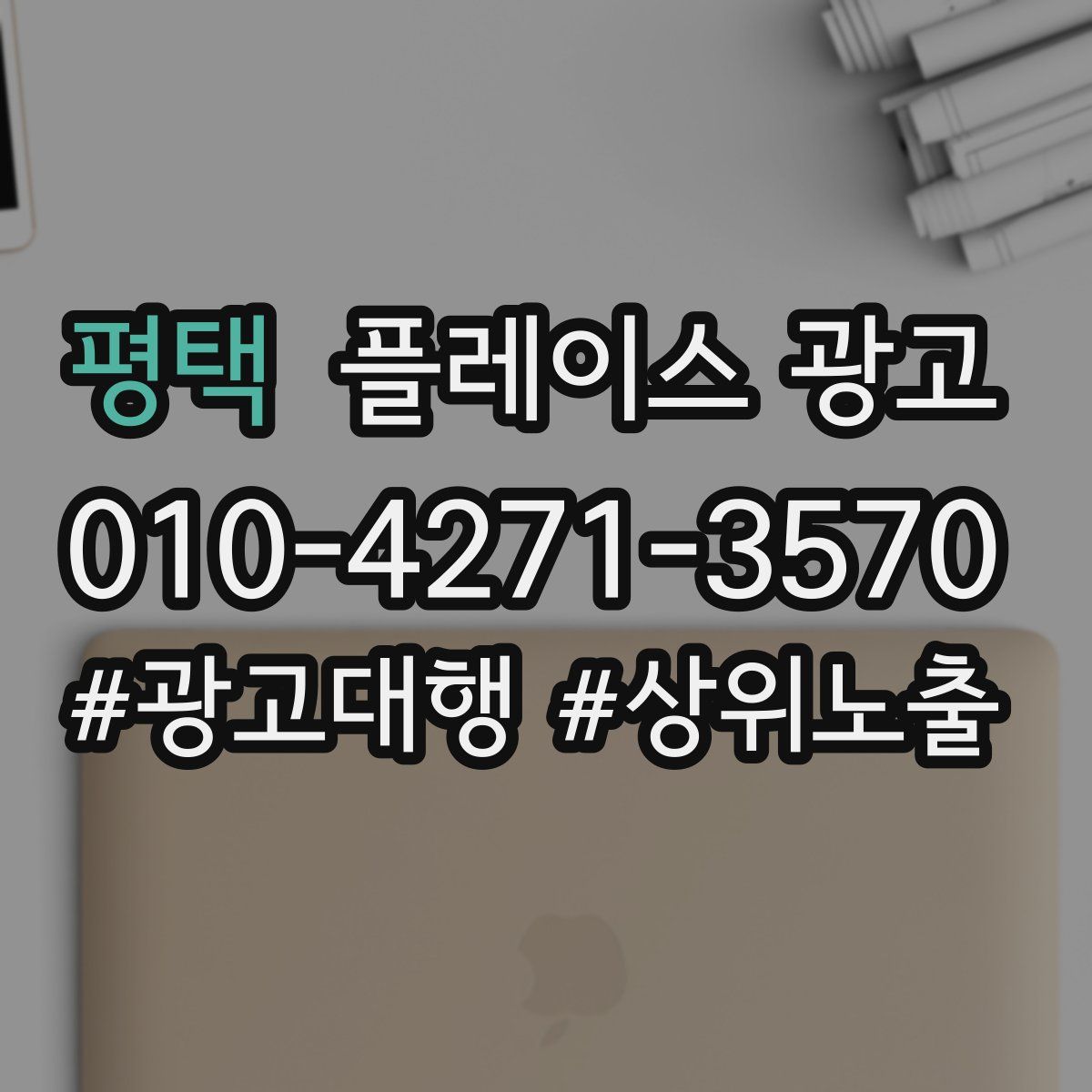평택 플레이스 광고