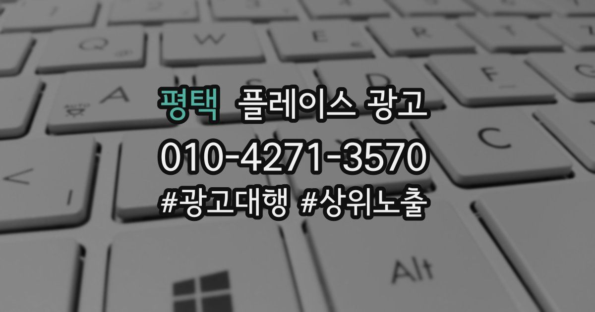 평택 플레이스 광고