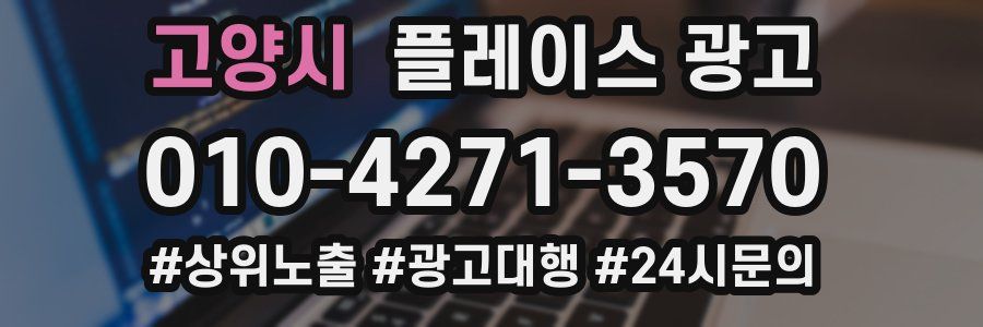 고양시 플레이스 광고