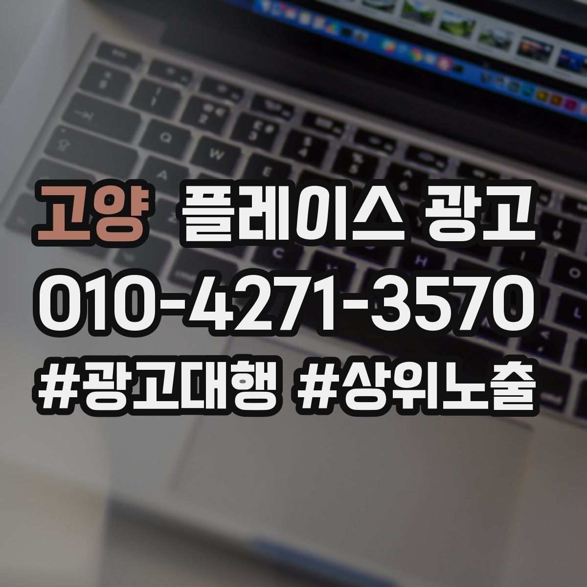고양 플레이스 광고