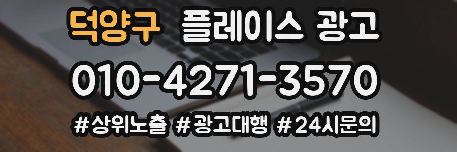덕양구 플레이스 광고