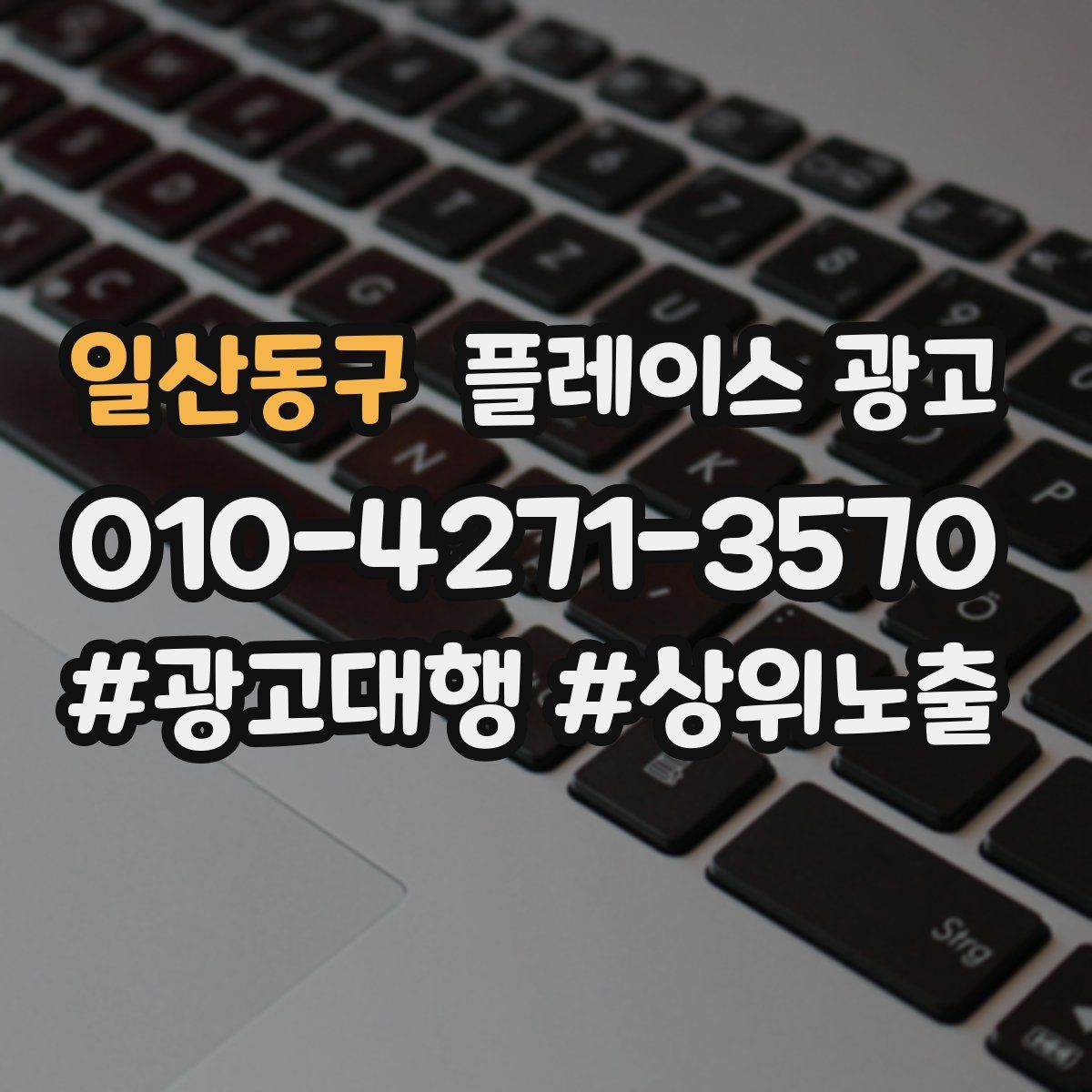 일산동구 플레이스 광고