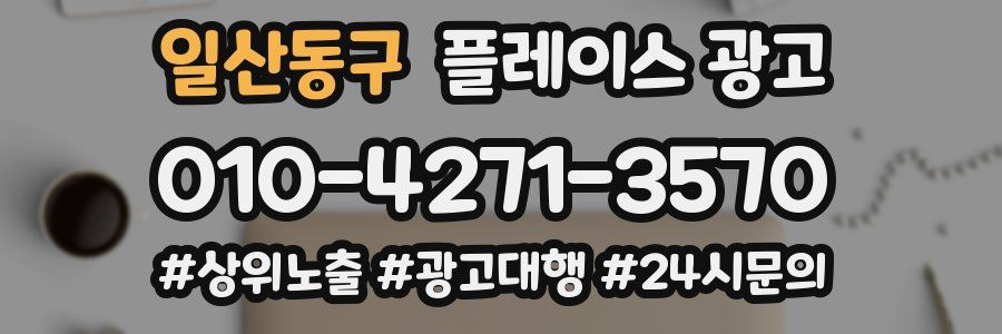 일산동구 플레이스 광고