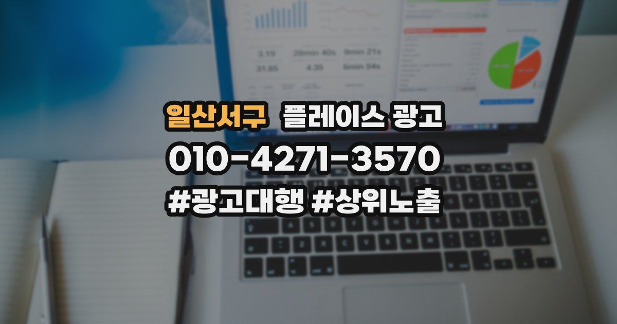 일산서구 플레이스 광고