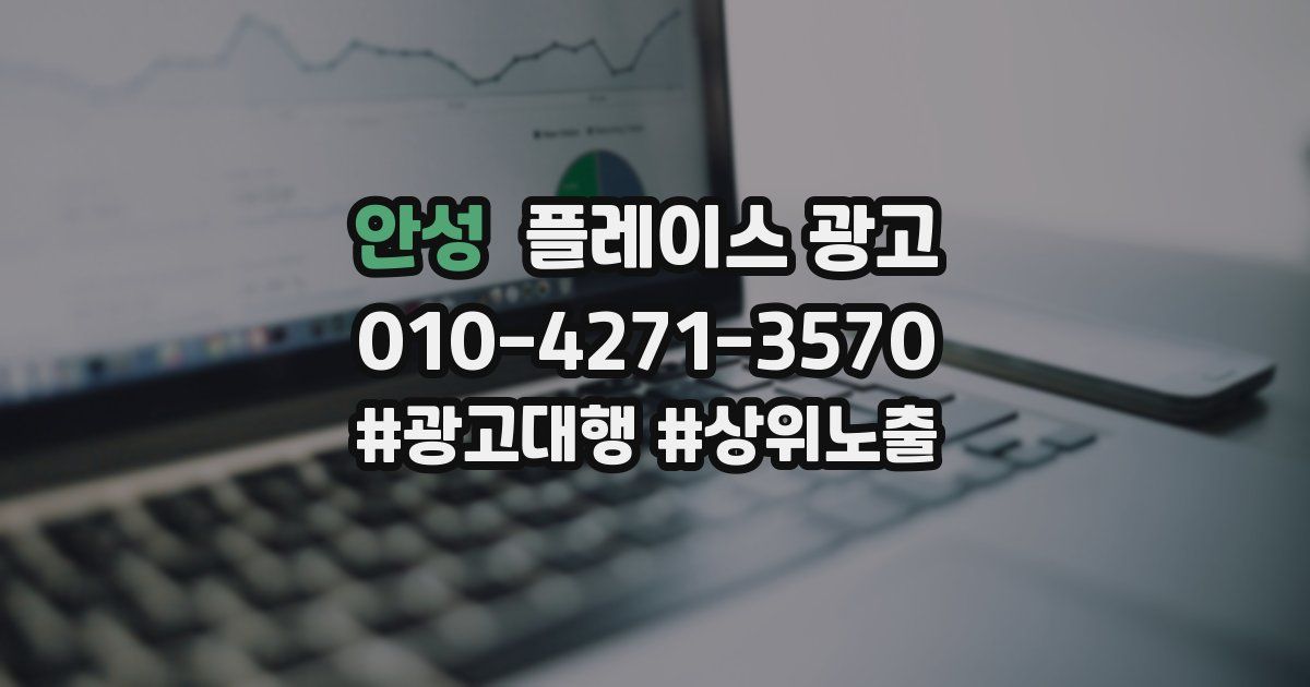 안성 플레이스 광고