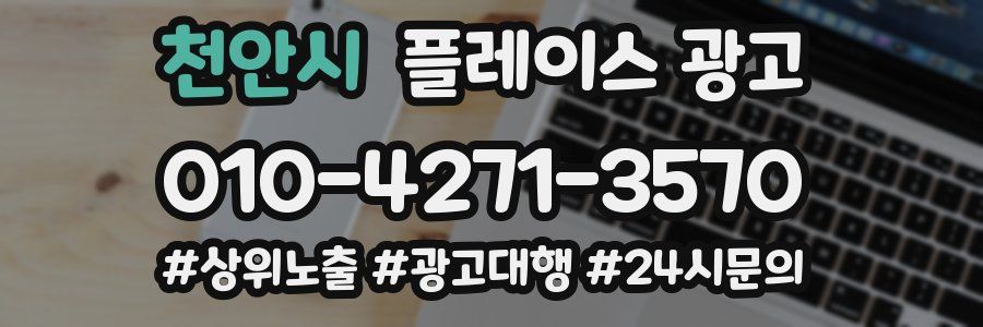 천안시 플레이스 광고