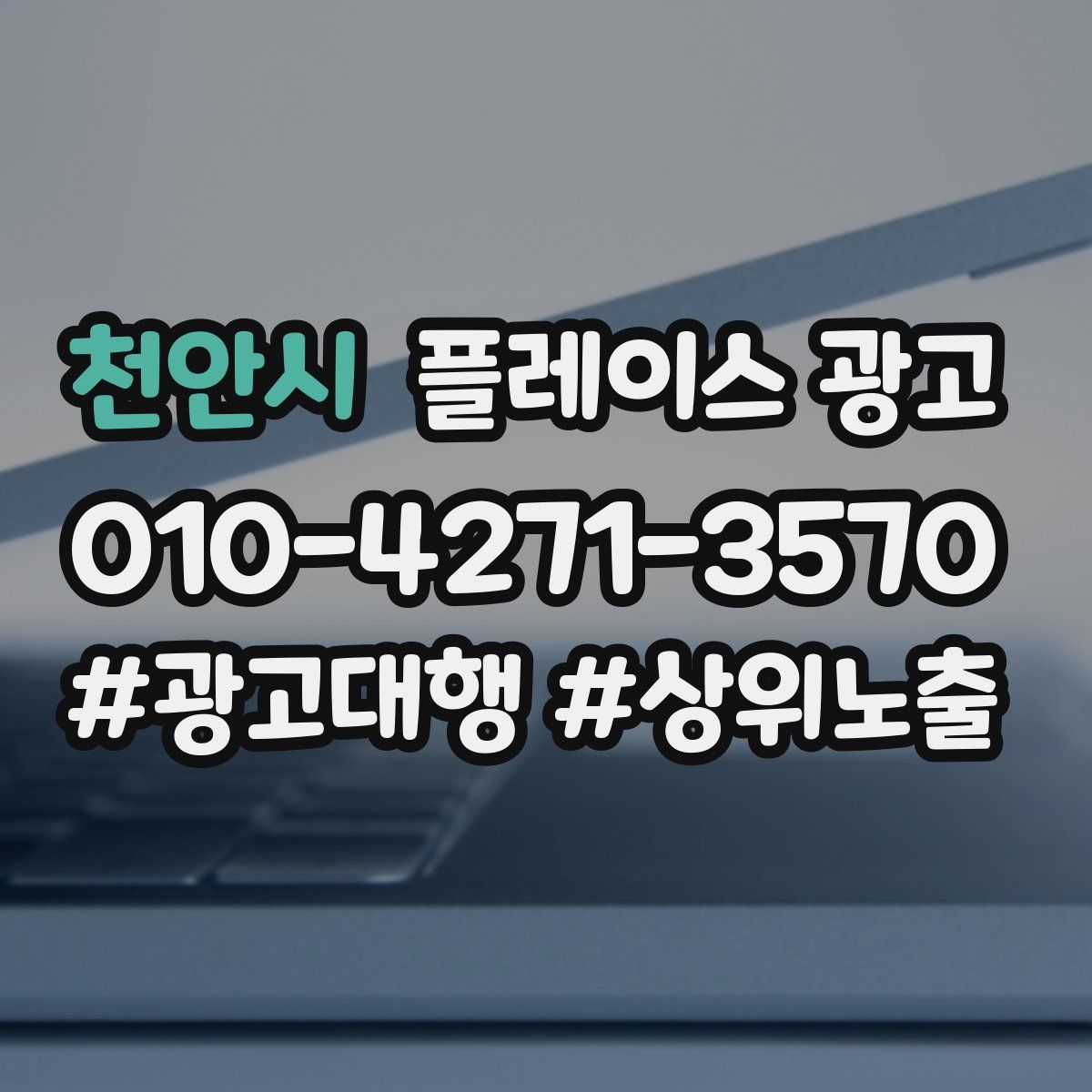 천안시 플레이스 광고