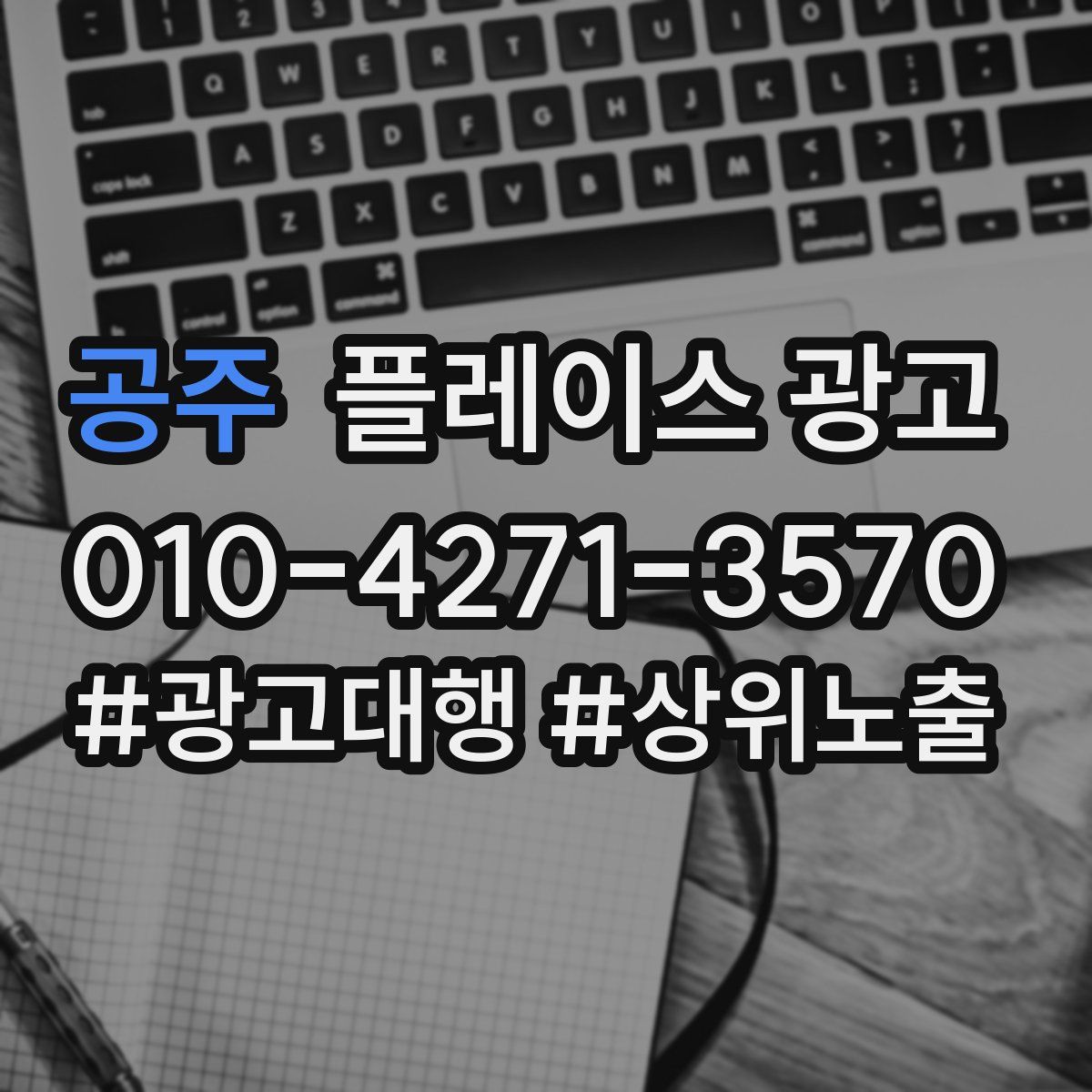 공주 플레이스 광고