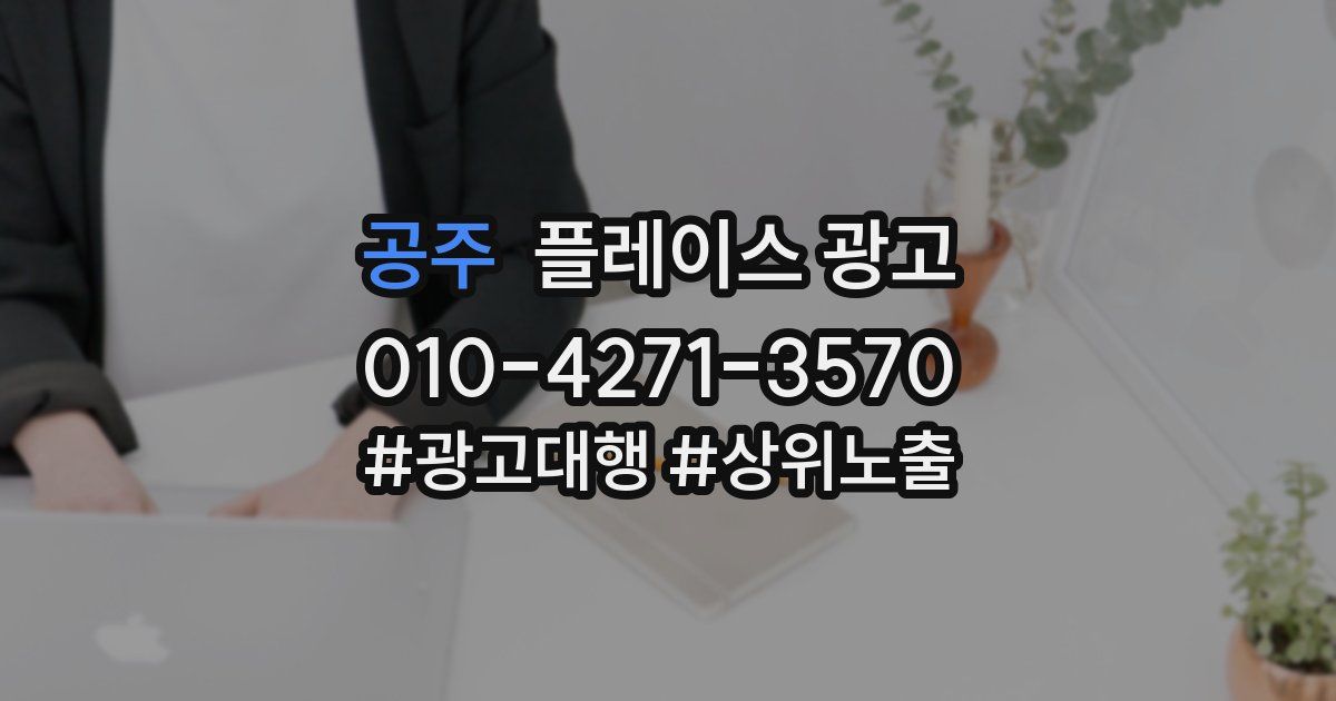 공주 플레이스 광고