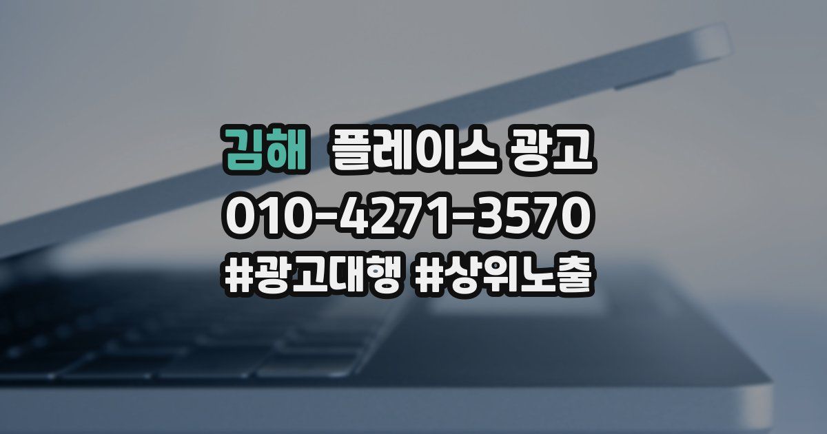 김해 플레이스 광고