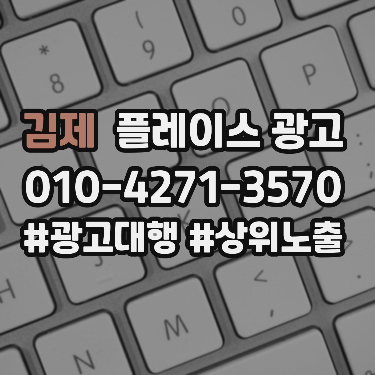 김제 플레이스 광고