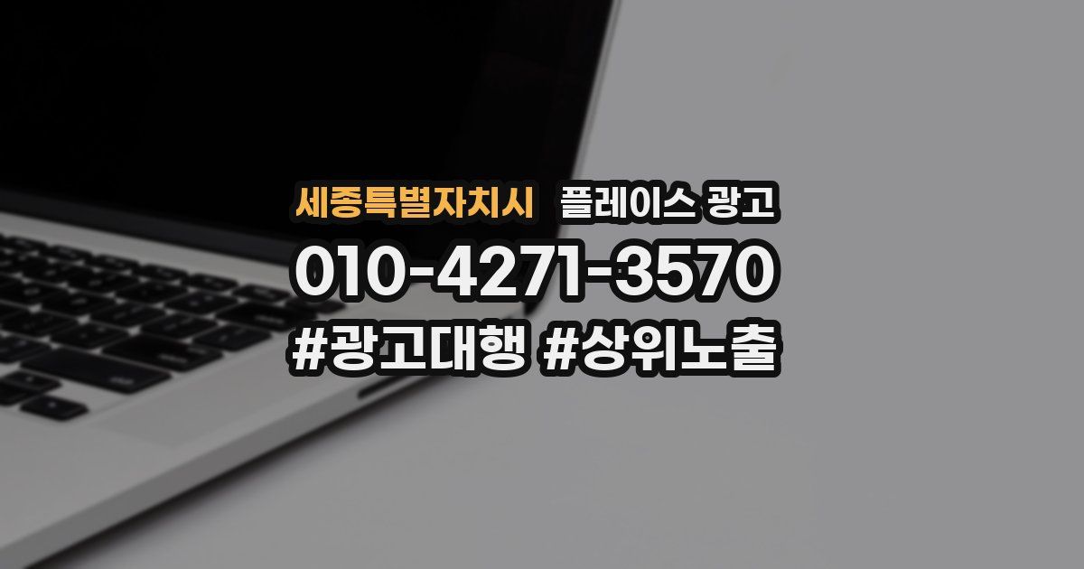세종특별자치시 플레이스 광고
