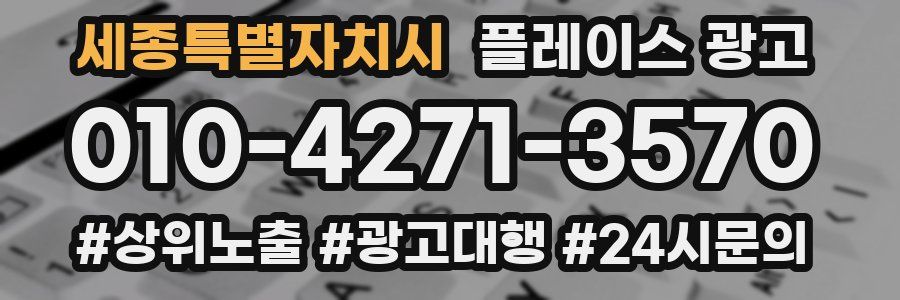 세종특별자치시 플레이스 광고