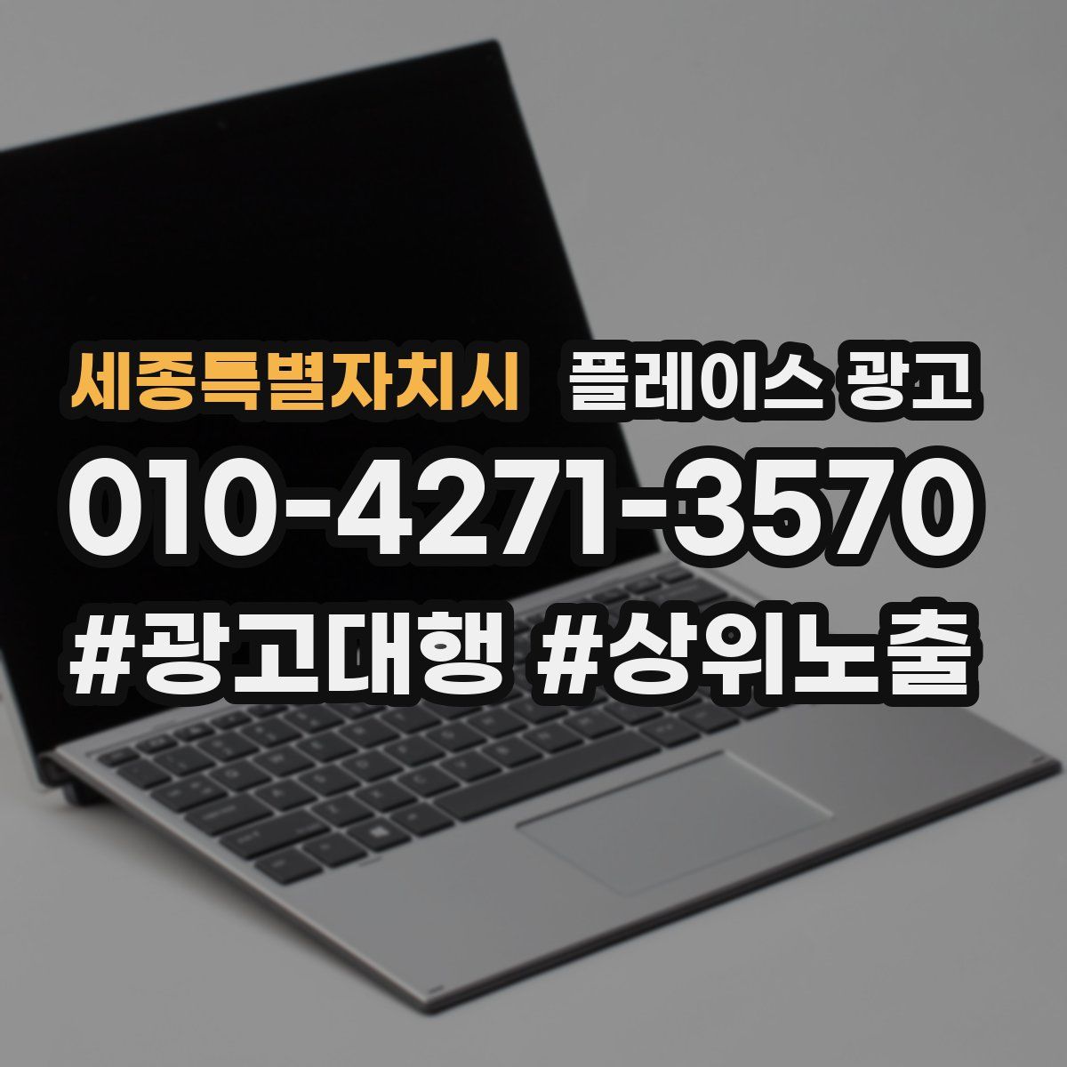 세종특별자치시 플레이스 광고