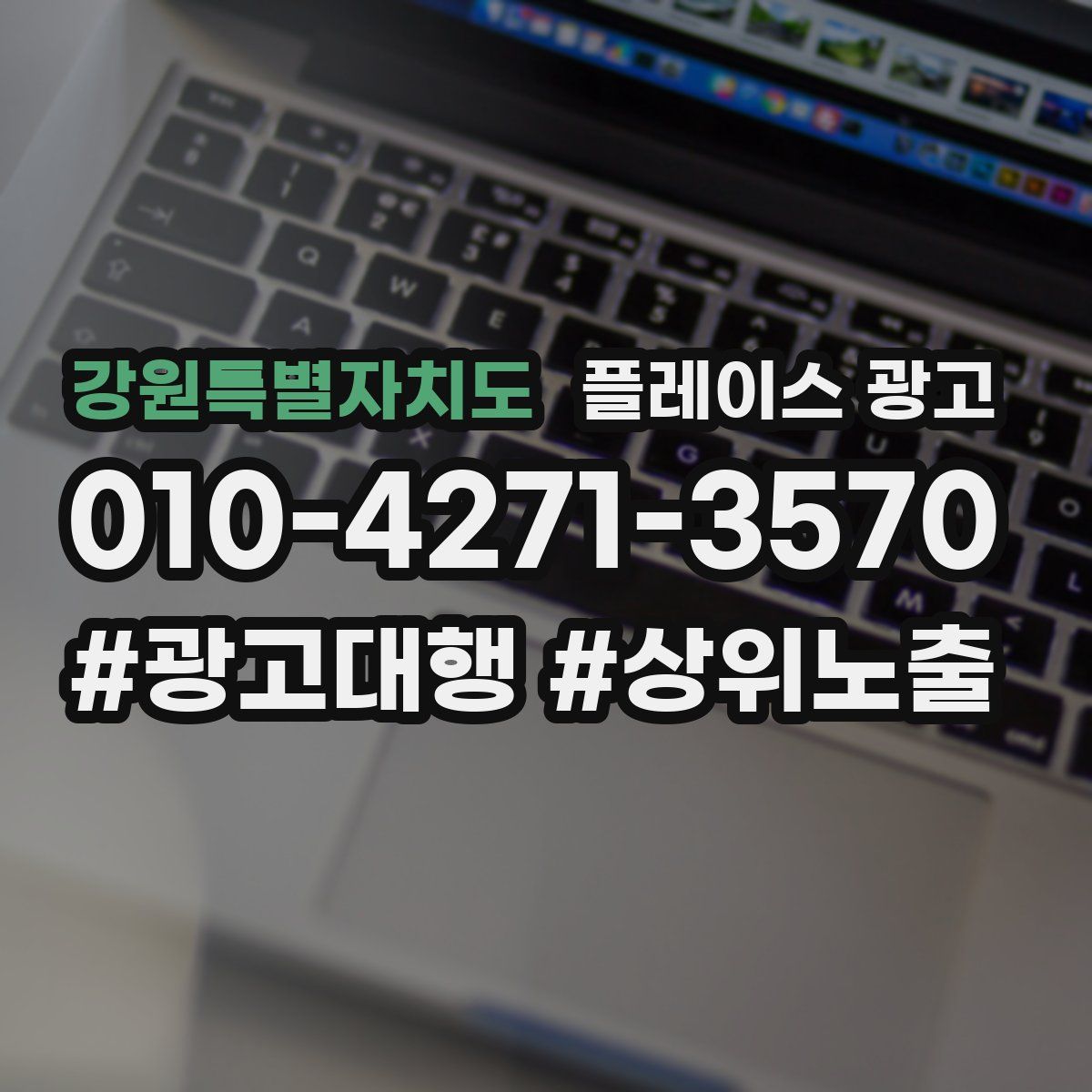 강원특별자치도 플레이스 광고