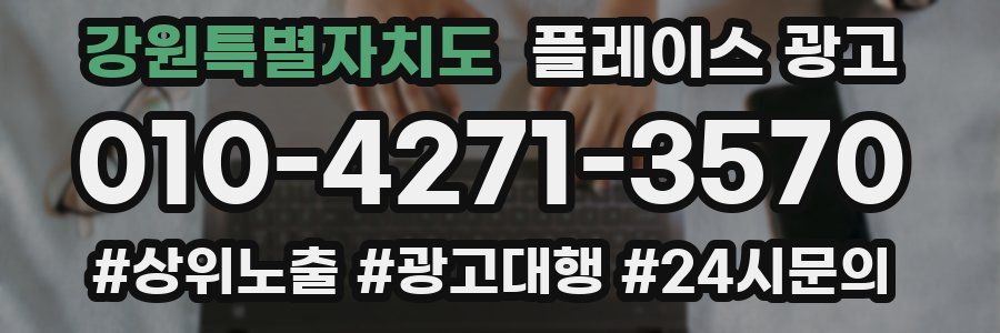 강원특별자치도 플레이스 광고