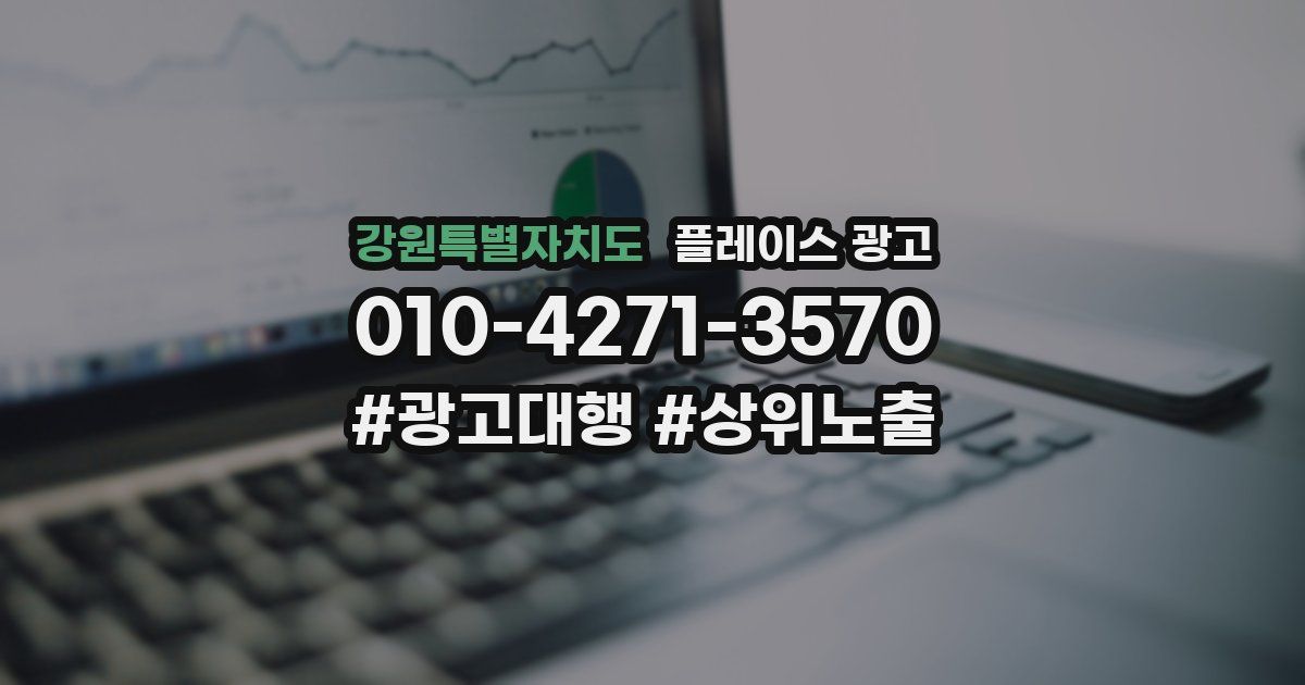 강원특별자치도 플레이스 광고