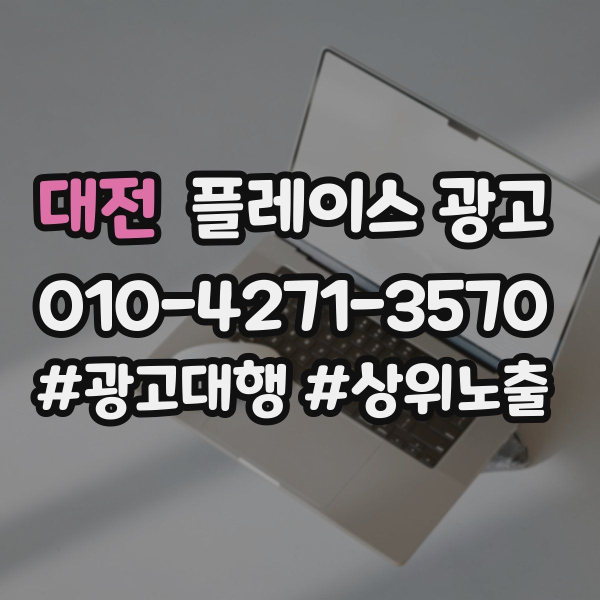 대전 플레이스 광고