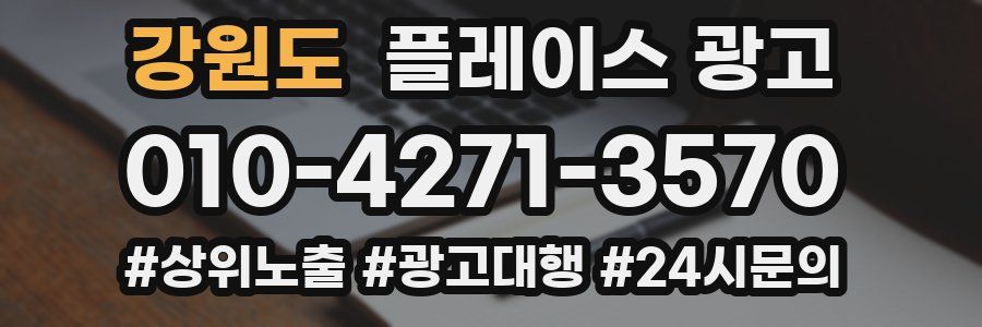 강원도 플레이스 광고