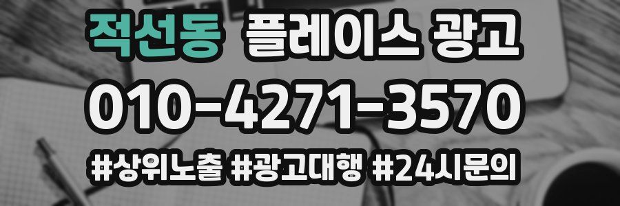 적선동 플레이스 광고