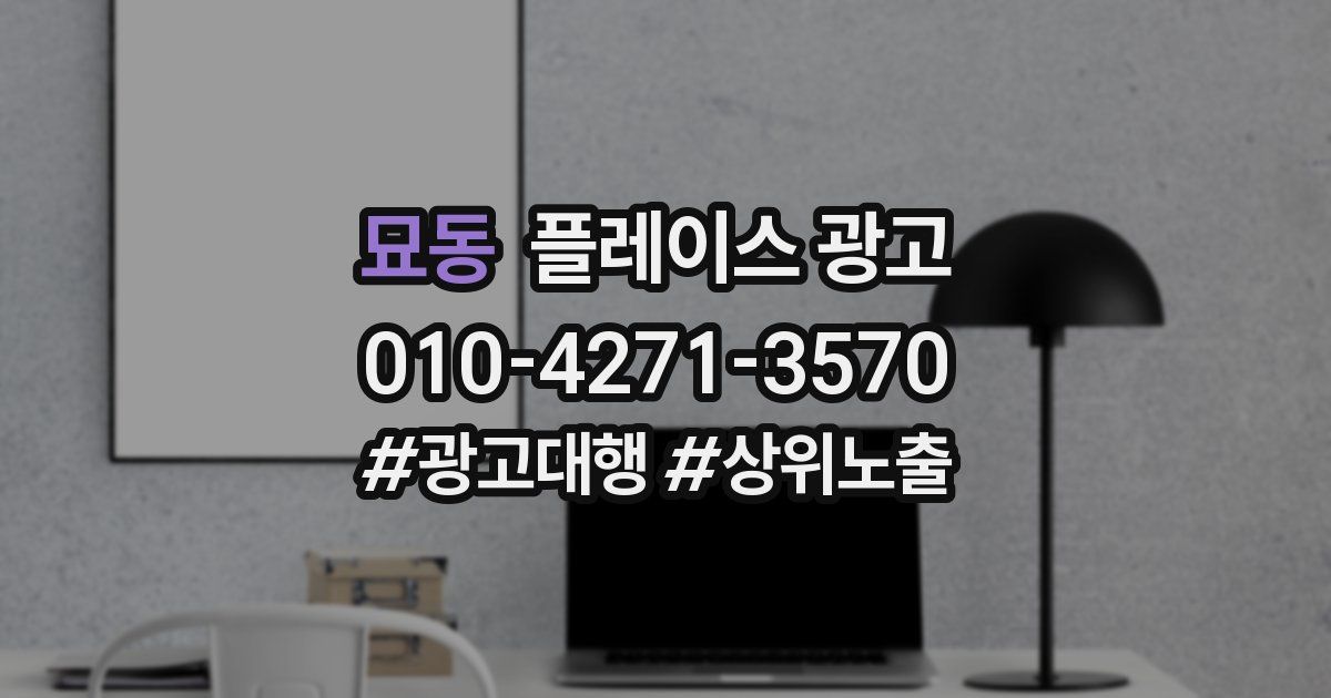 묘동 플레이스 광고