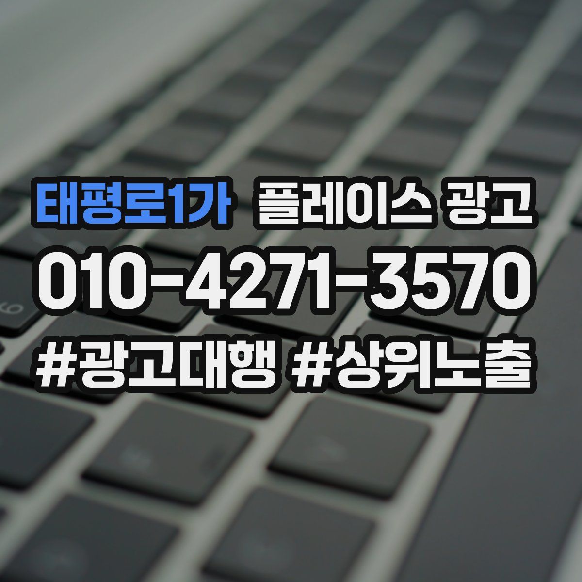 태평로1가 플레이스 광고