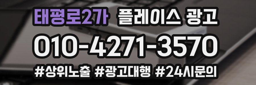 태평로2가 플레이스 광고