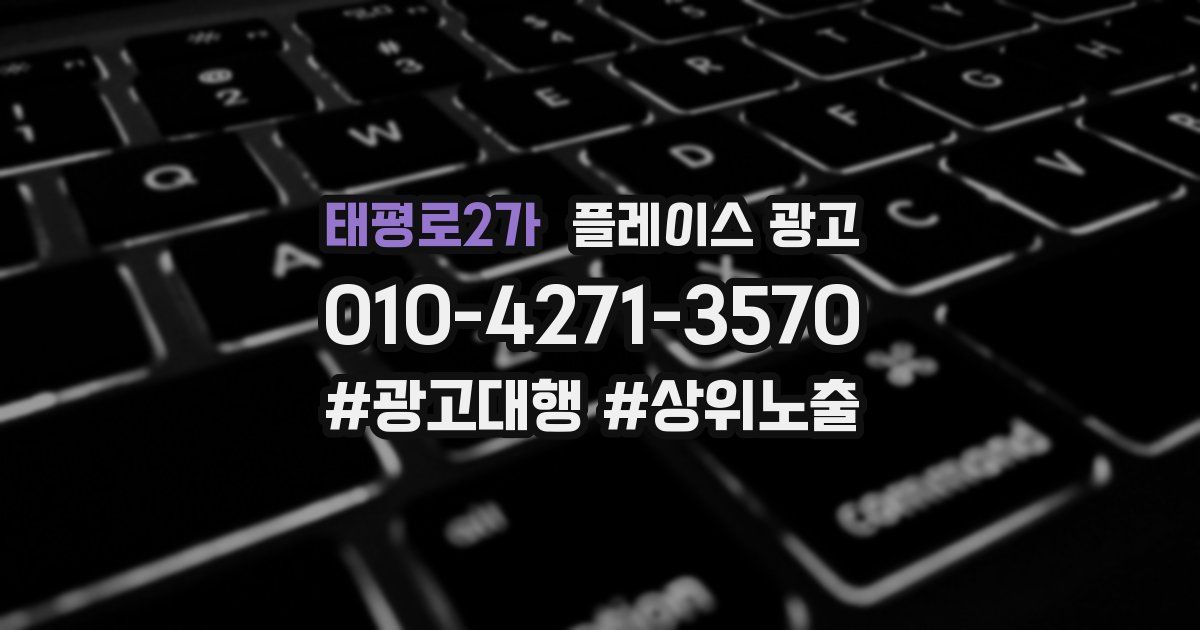태평로2가 플레이스 광고