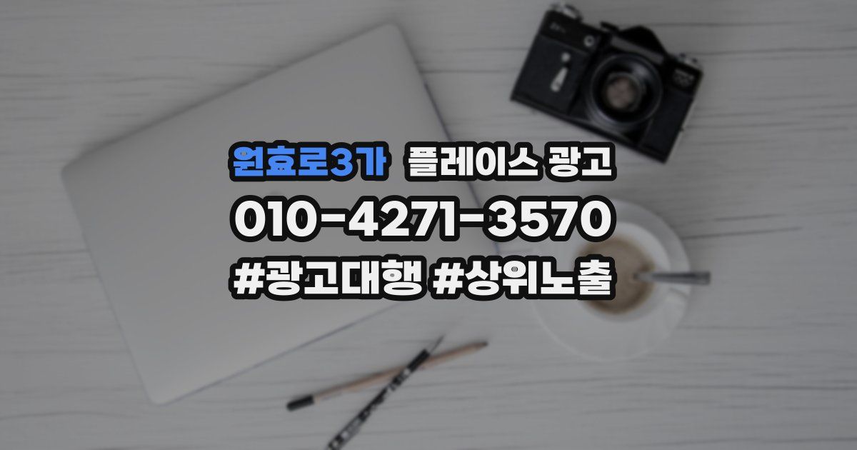 원효로3가 플레이스 광고
