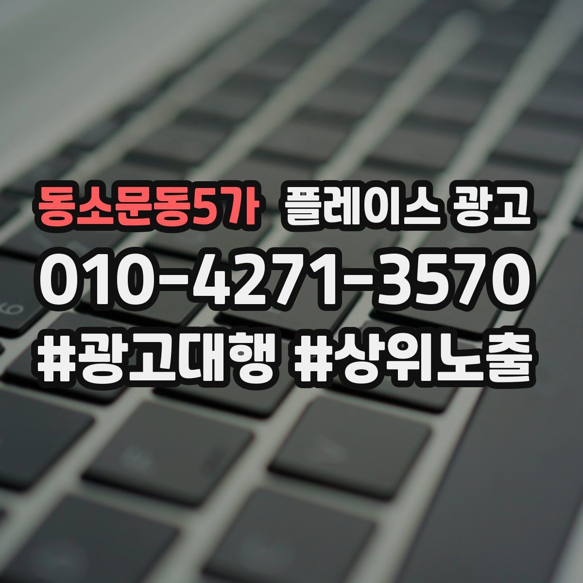 동소문동5가 플레이스 광고