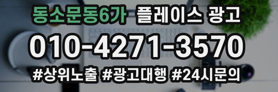 동소문동6가 플레이스 광고