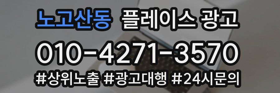 노고산동 플레이스 광고