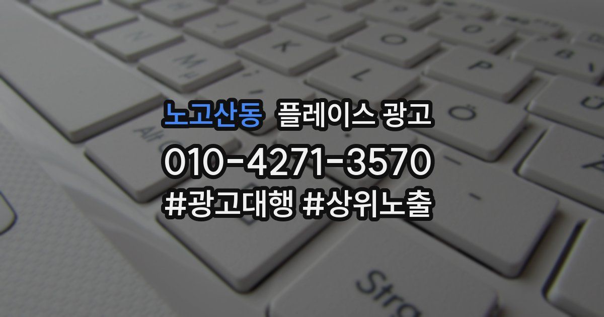 노고산동 플레이스 광고