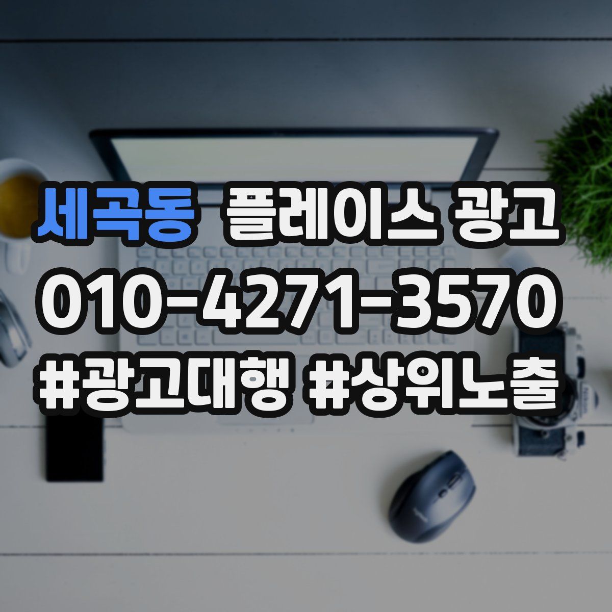 세곡동 플레이스 광고