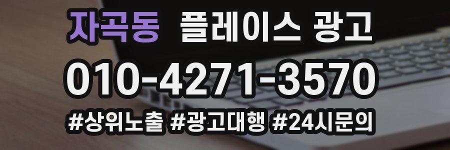 자곡동 플레이스 광고
