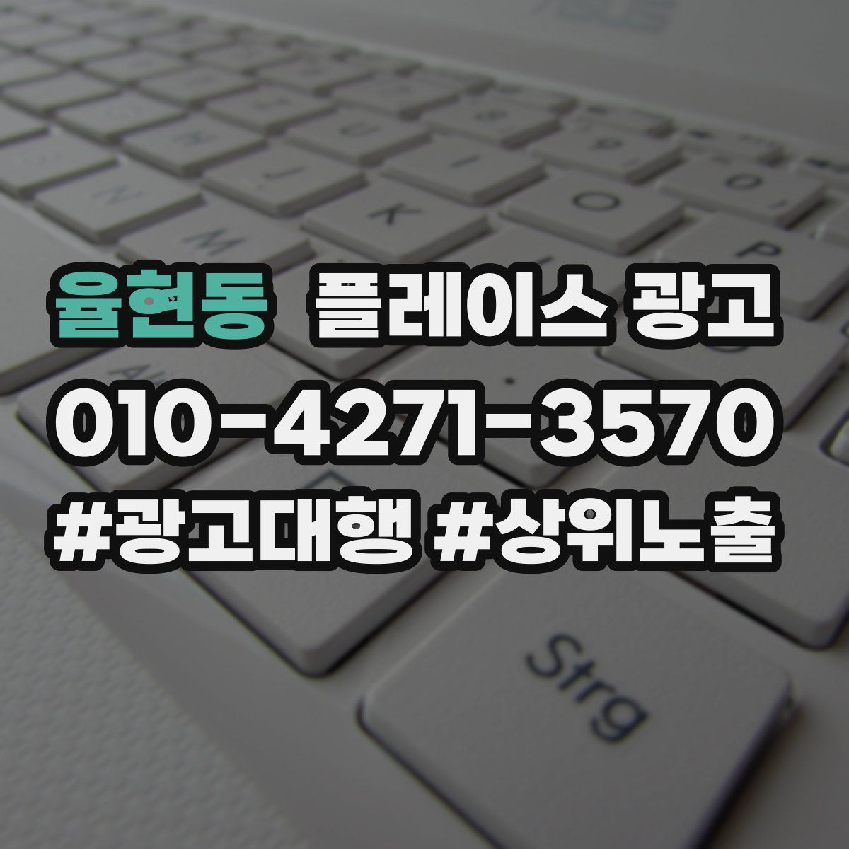 율현동 플레이스 광고