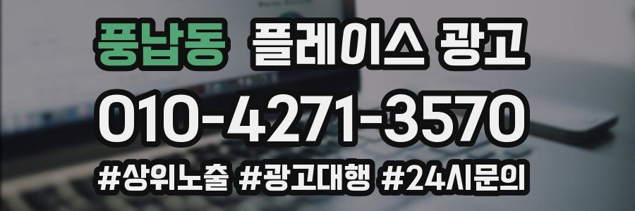 풍납동 플레이스 광고