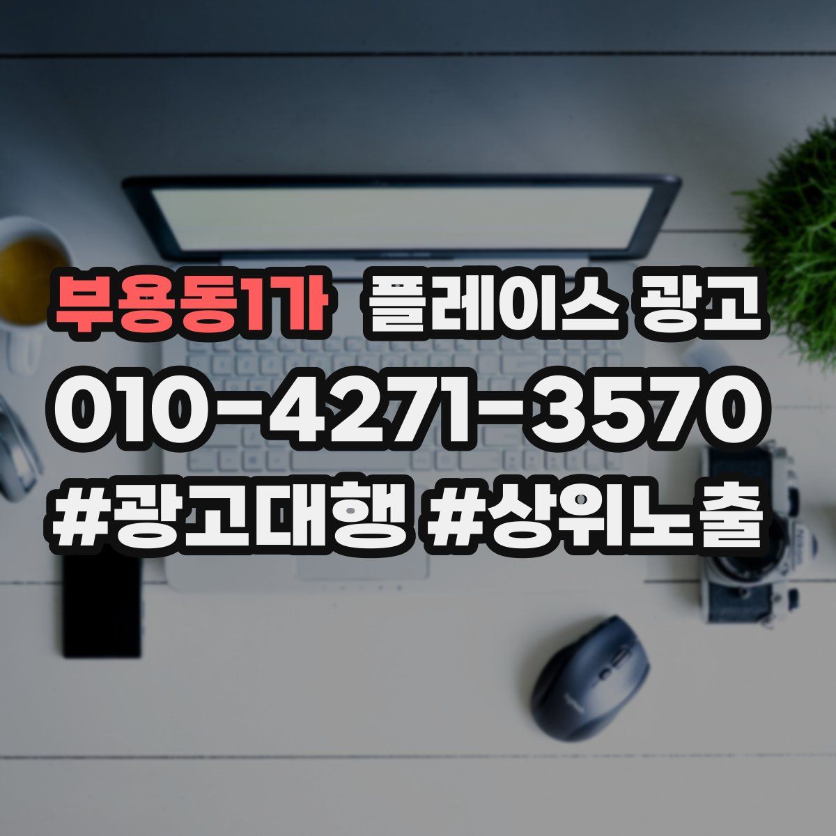 부용동1가 플레이스 광고