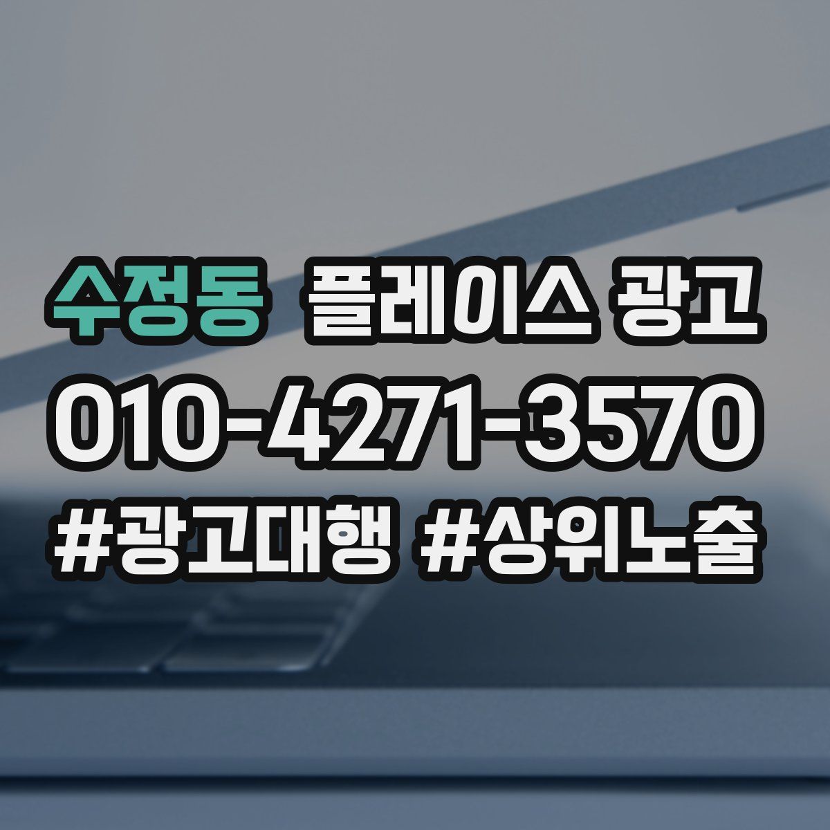 수정동 플레이스 광고