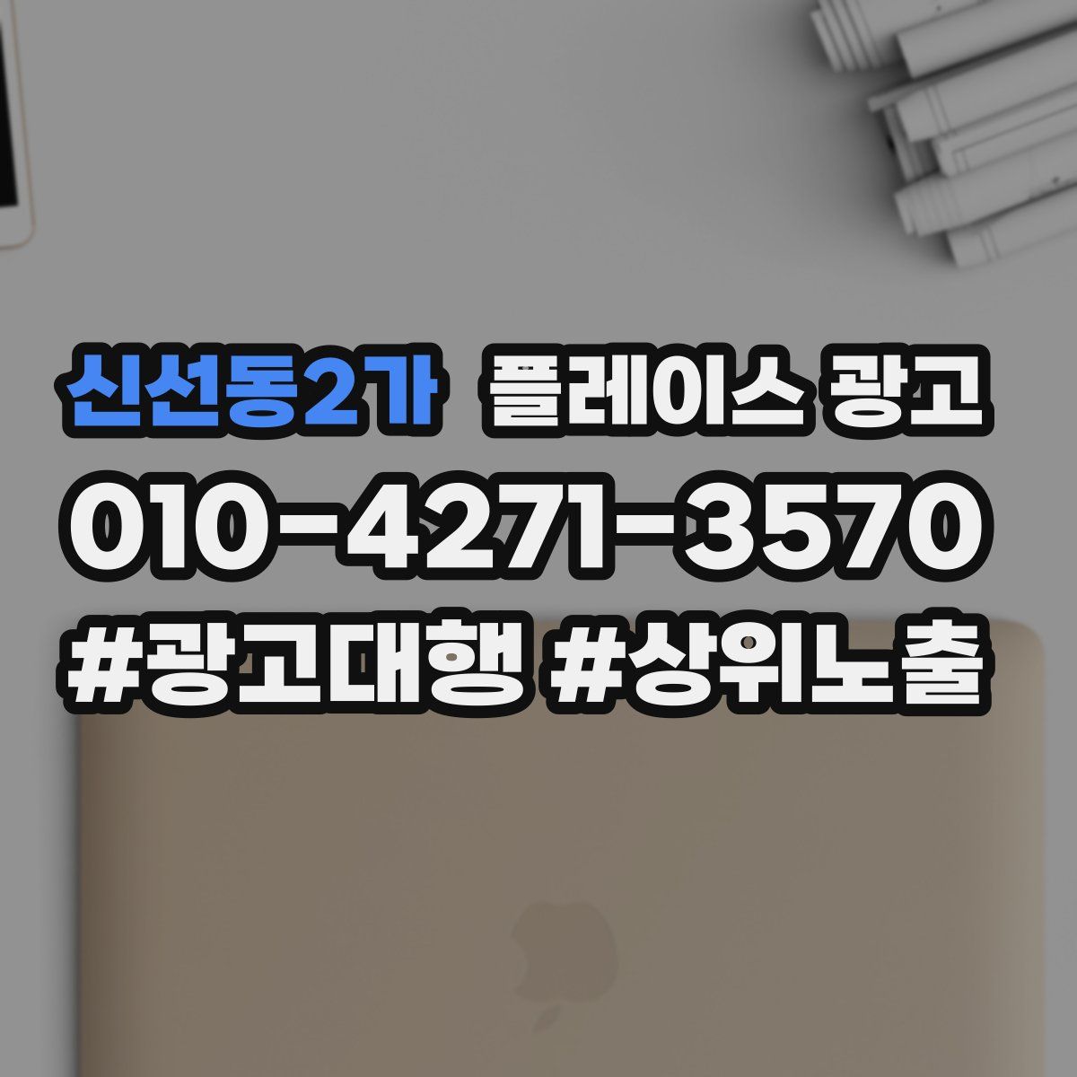 신선동2가 플레이스 광고