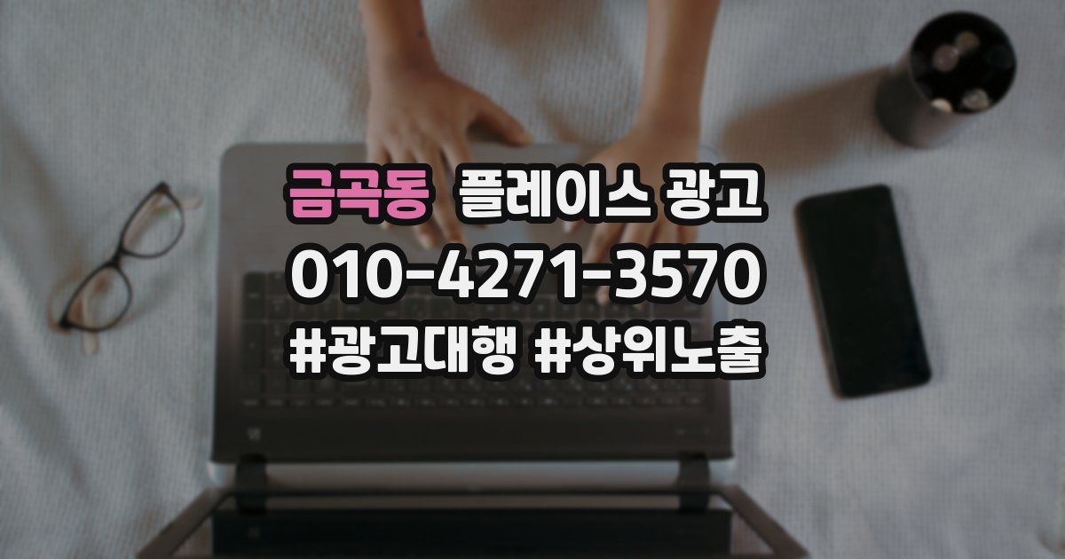 금곡동 플레이스 광고