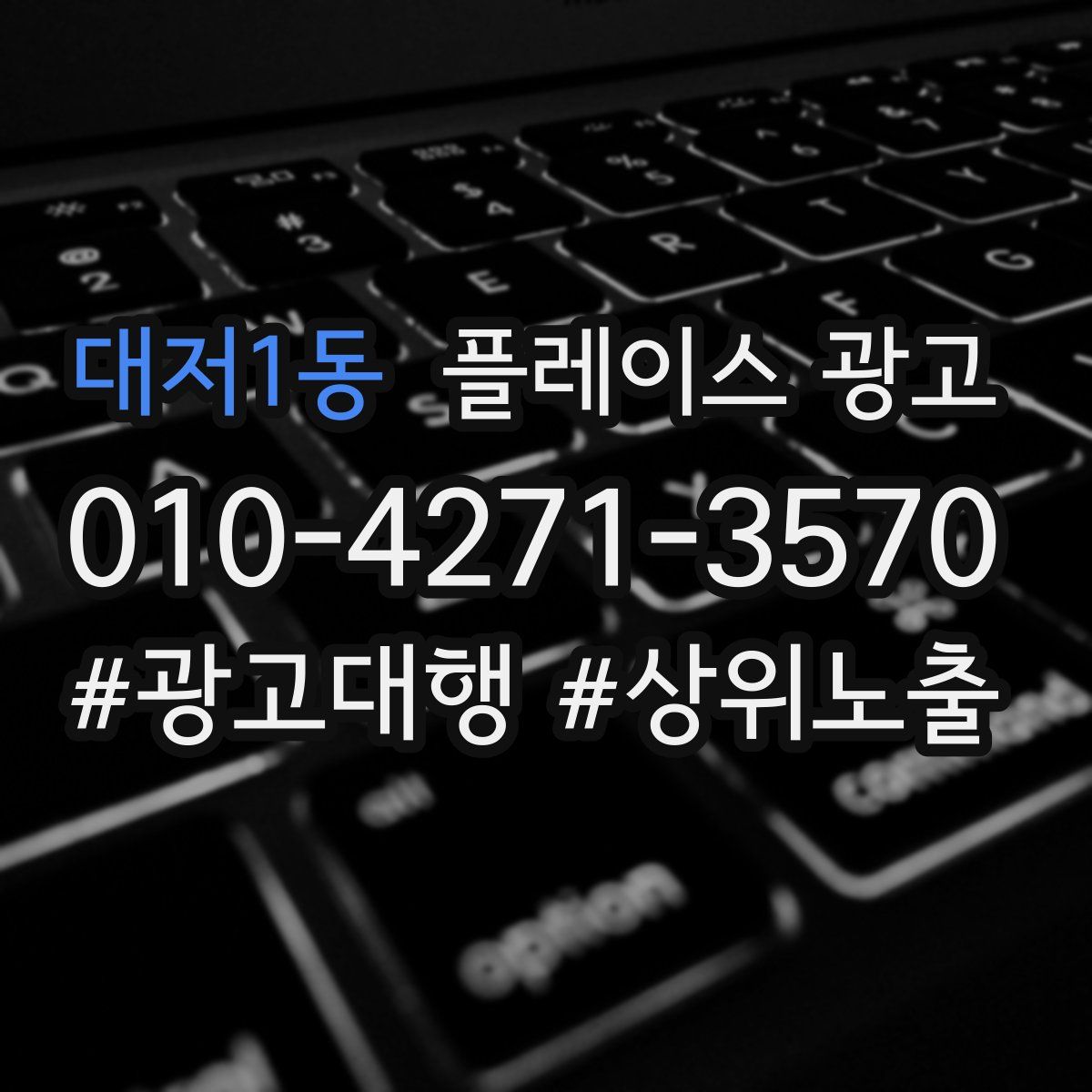 대저1동 플레이스 광고