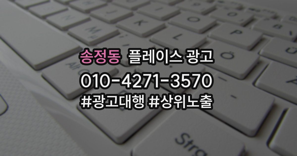 송정동 플레이스 광고