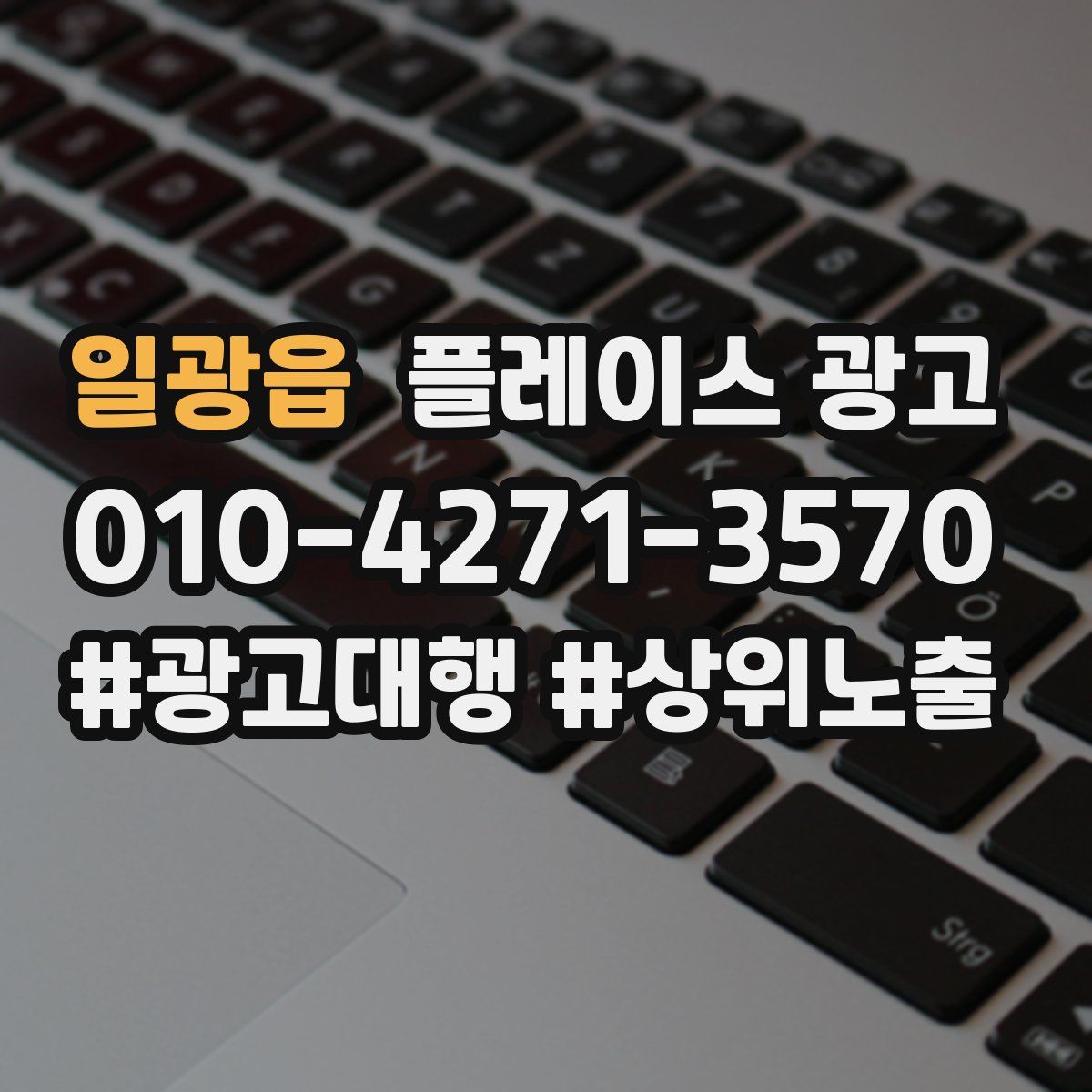 일광읍 플레이스 광고
