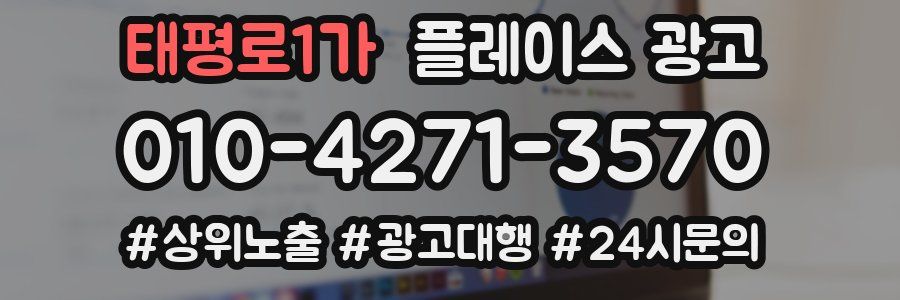 태평로1가 플레이스 광고
