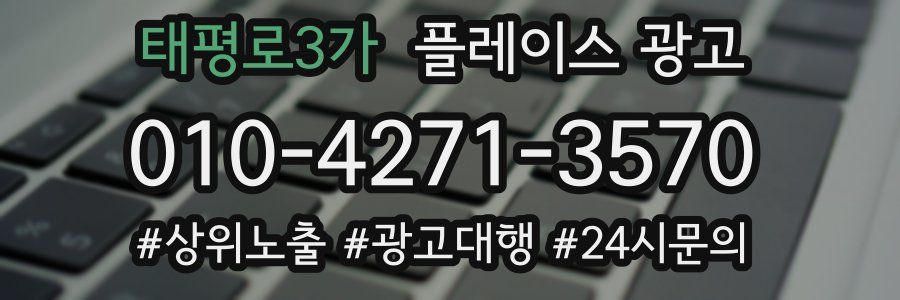 태평로3가 플레이스 광고